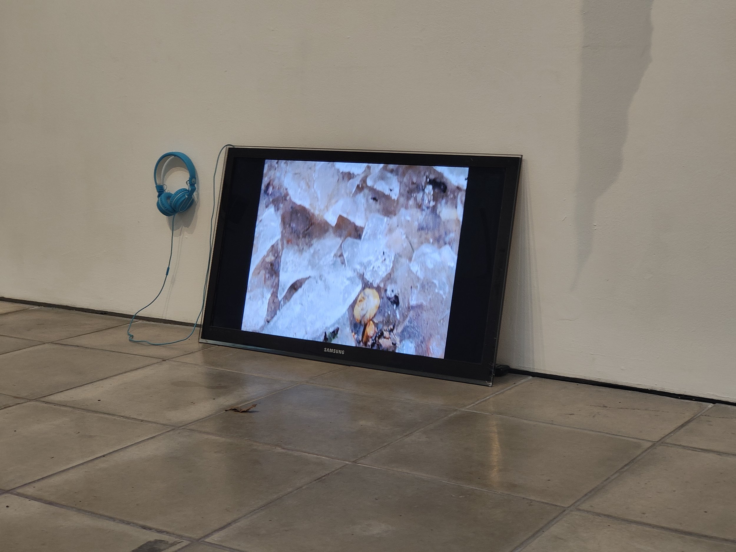 Installation View | The Flesh | Organic textures and earthy tones projected on screen with headphones. The installation invites viewers to crouch closer, creating a more embodied relationship with the surreal, organic footage.