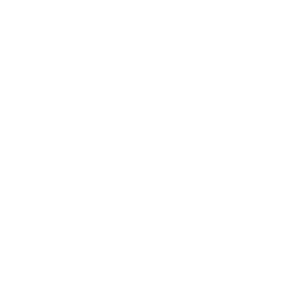 Four-pointed star icon representing scalable business growth and reputation protection.