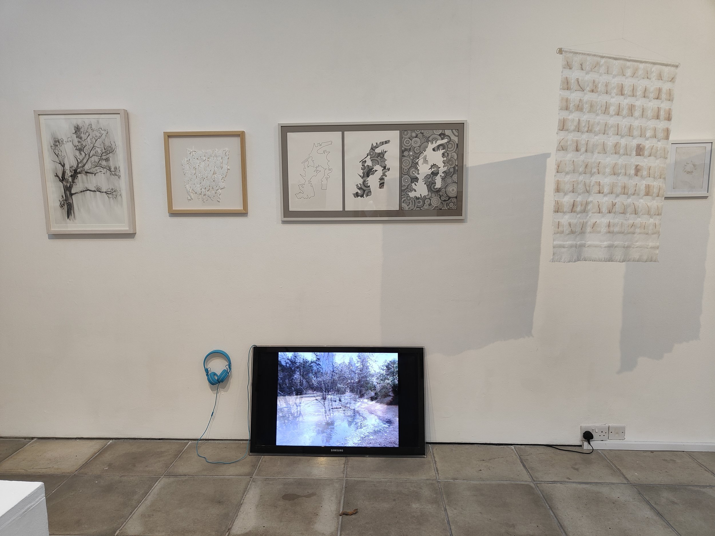 Installation View | The Flesh | Nature-based imagery in small screen format with surrounding works. The video sits low to the ground, framed by monochrome drawings, creating a contrast between organic visuals and illustrative forms.