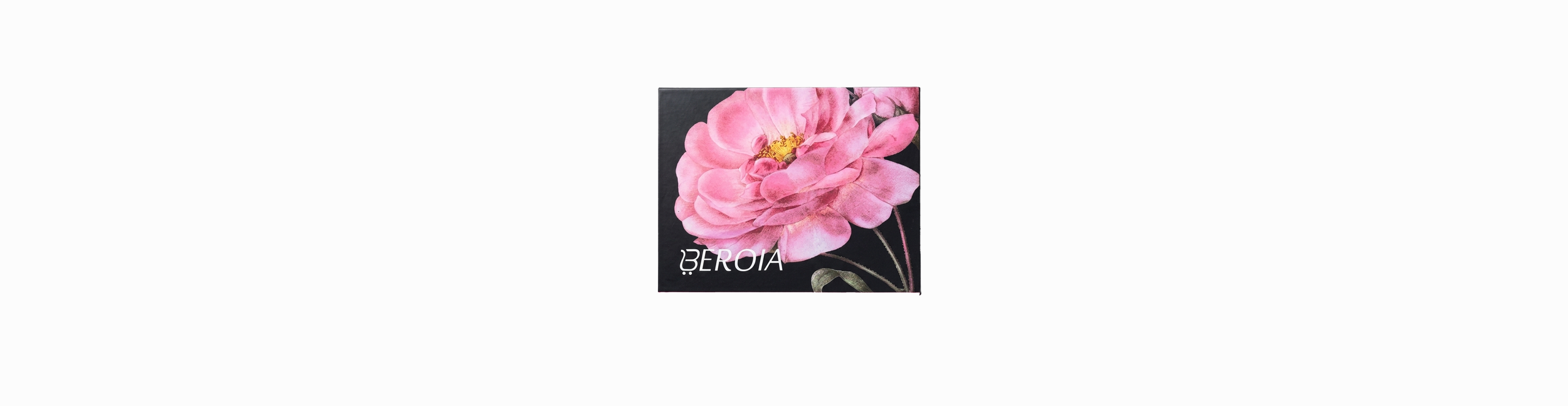 4٢٣12image-2 copy.png