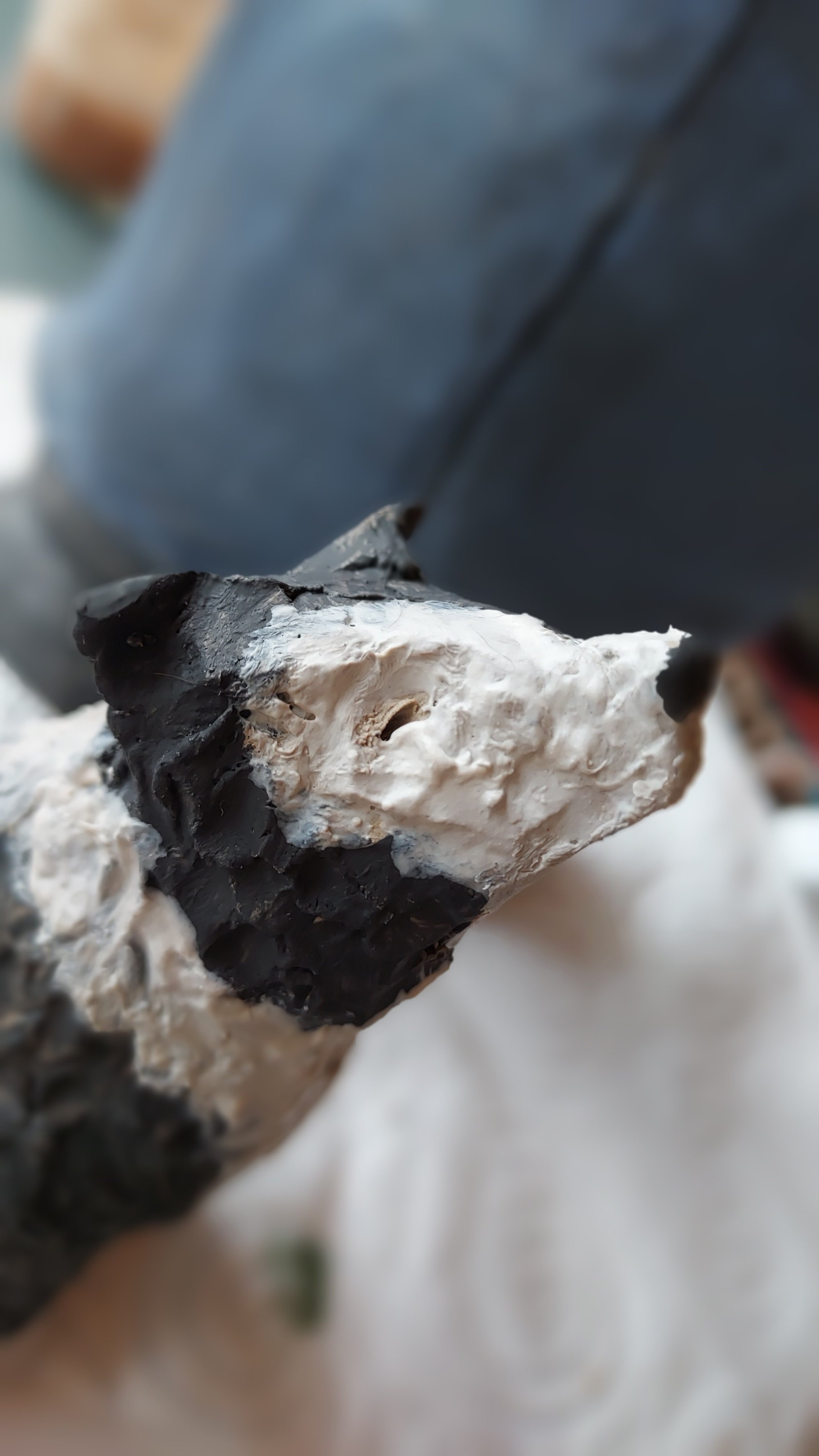 Le border collie de la bergère