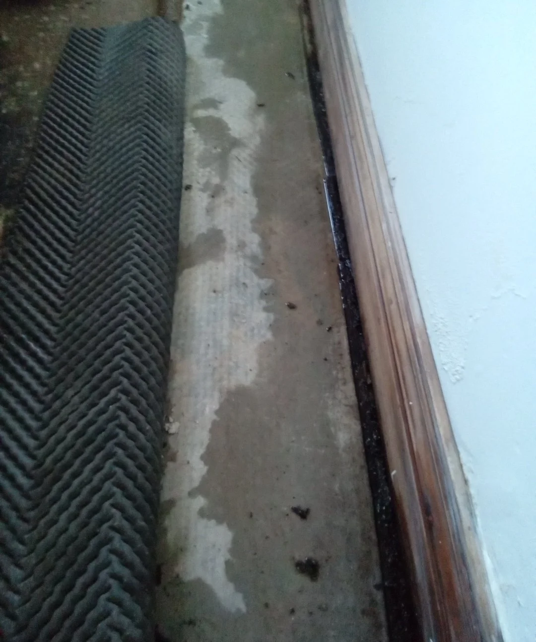 Close-up of an entryway with a doormat, wet concrete floor, wooden baseboard, and a white wall.