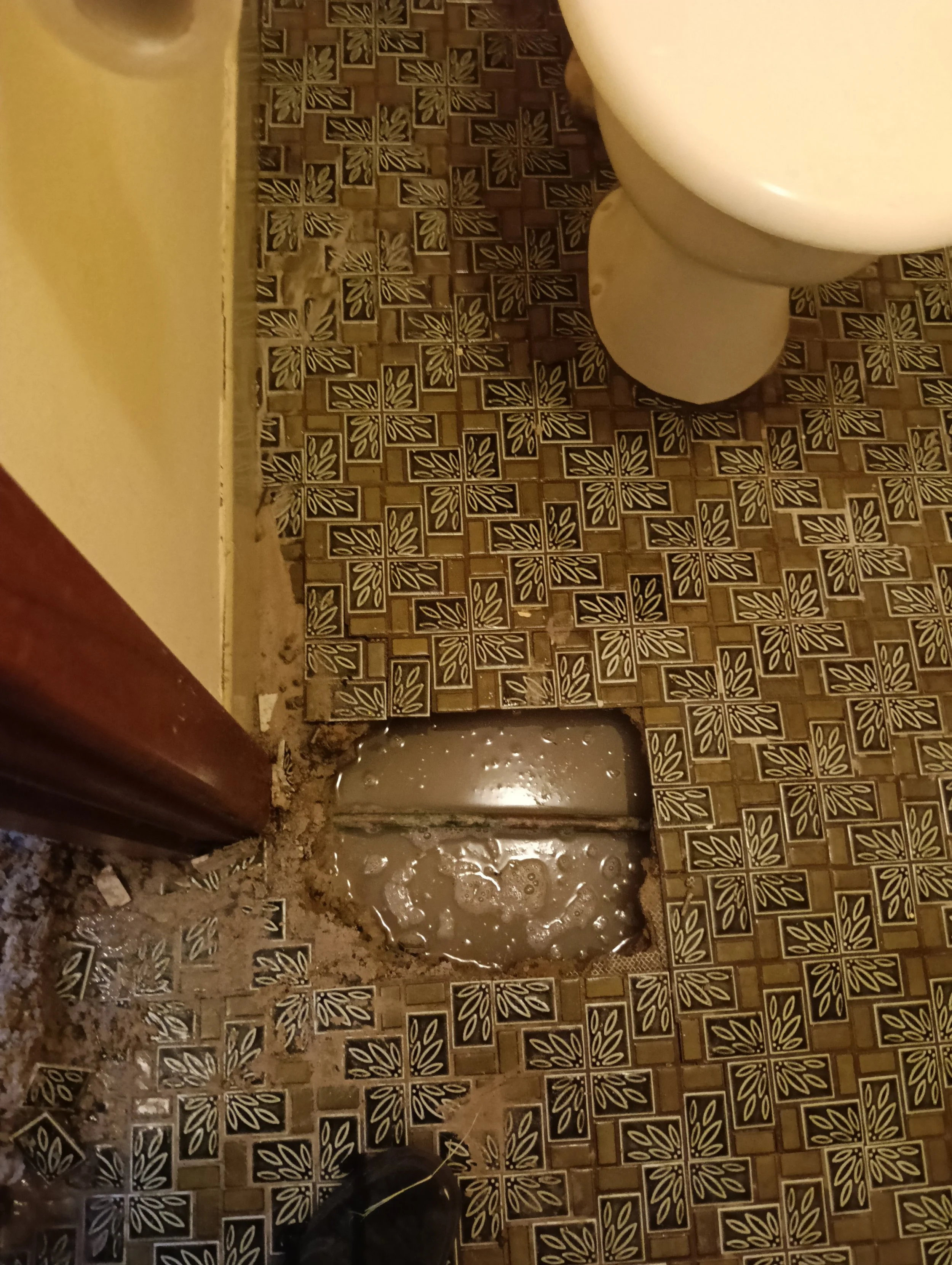 Bathroom floor with damaged tiles, leaking water under missing tiles, near a toilet and a partial door frame.