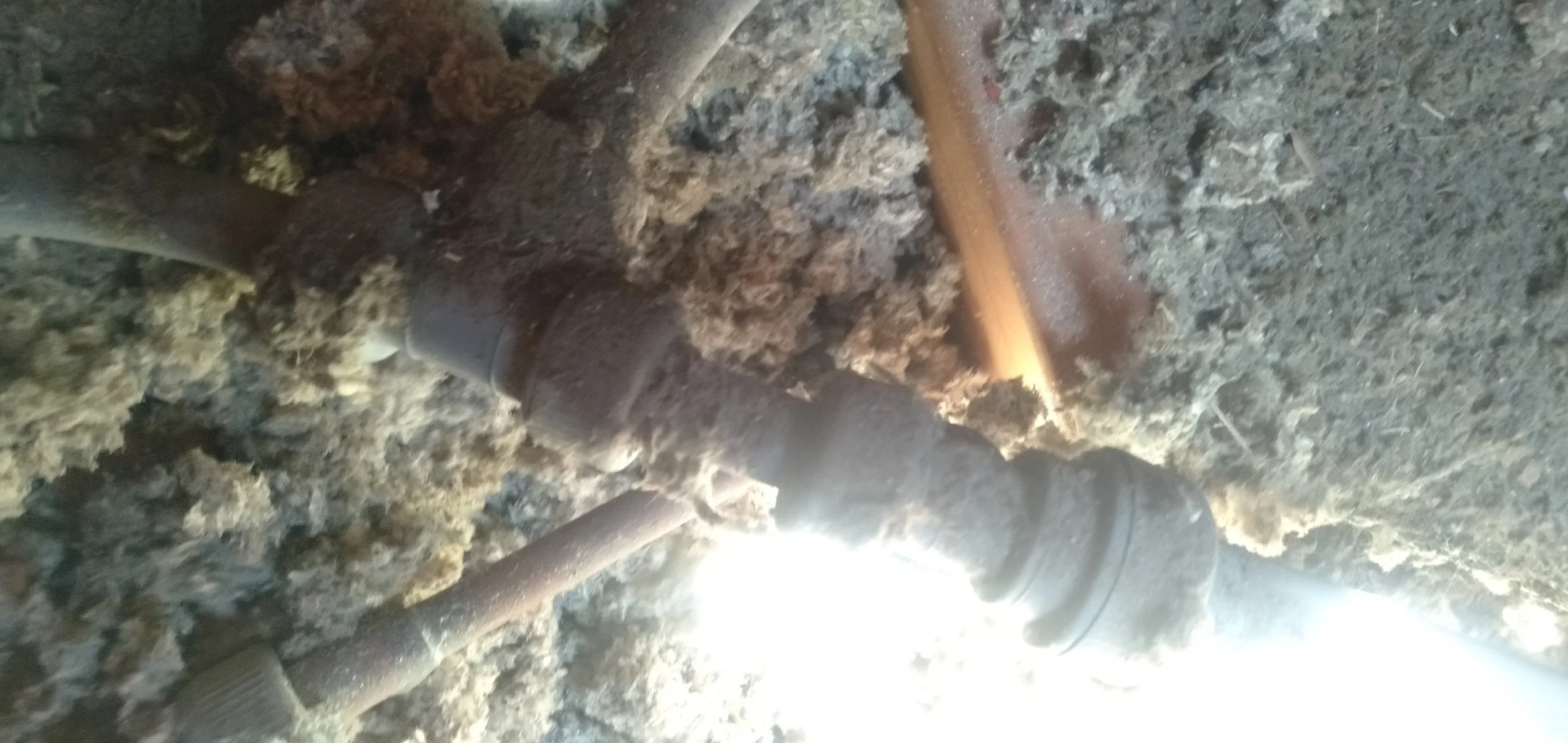 Close-up of a rusty pipe and fitting partially buried in dirt and debris underground.