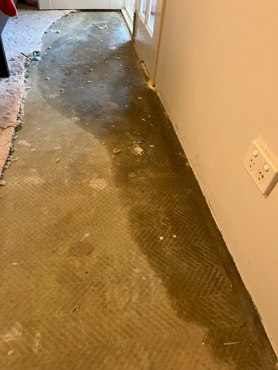 Dirty concrete floor with scattered debris, near a wall with an electrical outlet and a glass door leading outside.