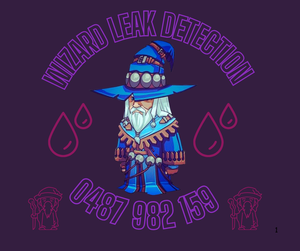 Emergency Leak Detection — Wizard Leak Detection Mandurah