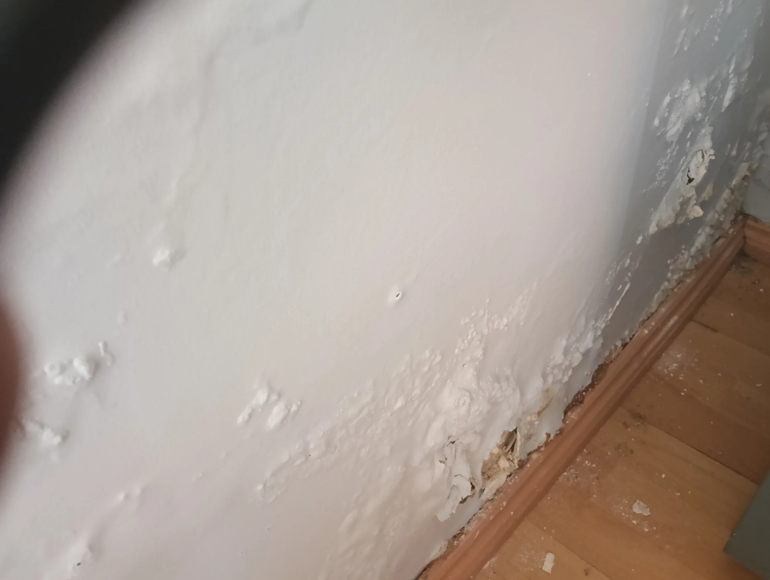 Wall with peeling paint and damaged baseboard near hardwood floor.