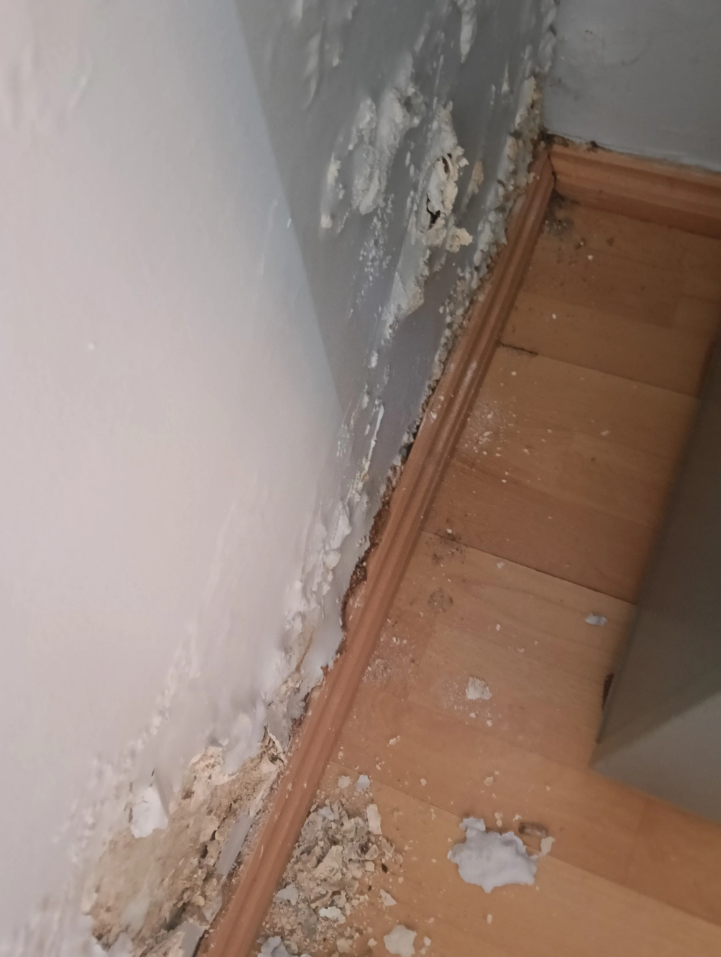 Close-up of a corner with damaged drywall, dust, and debris on a wooden floor.