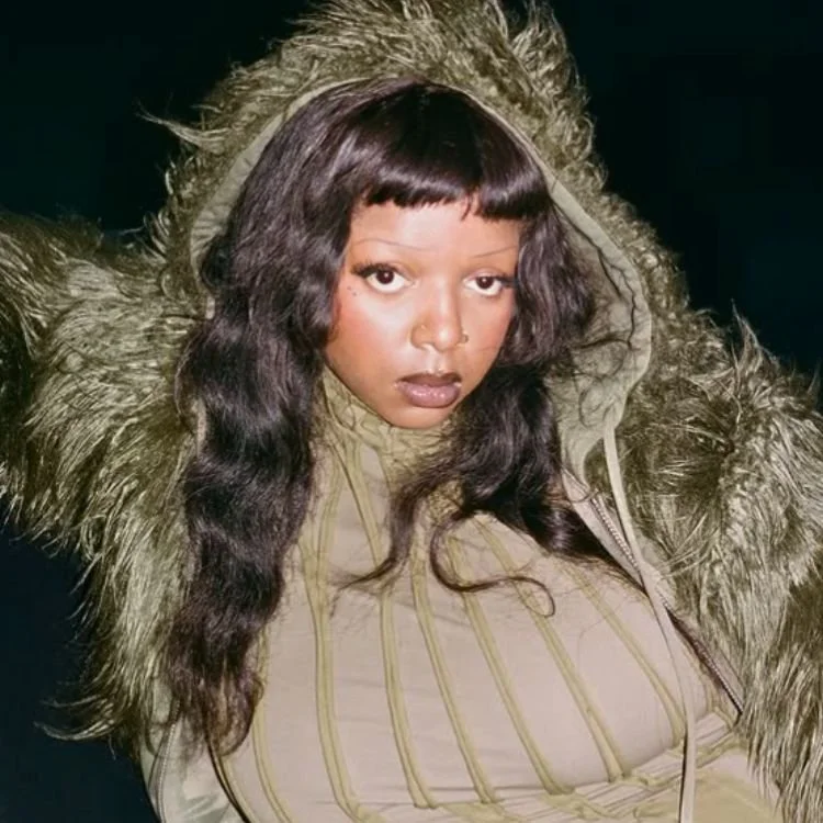KeiyaA’s “Hooke’s Law” and the Power of Staying Indie — Sampledex