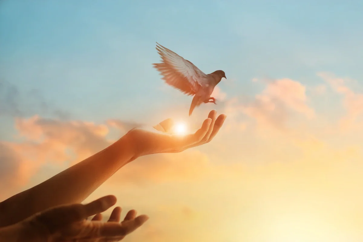 Diplomausbildung Energetisches Heilen – Symbolbild einer Hand, aus der ein Vogel in den Himmel fliegt, Zeichen für Freiheit, Heilung und Entfaltung der Seele