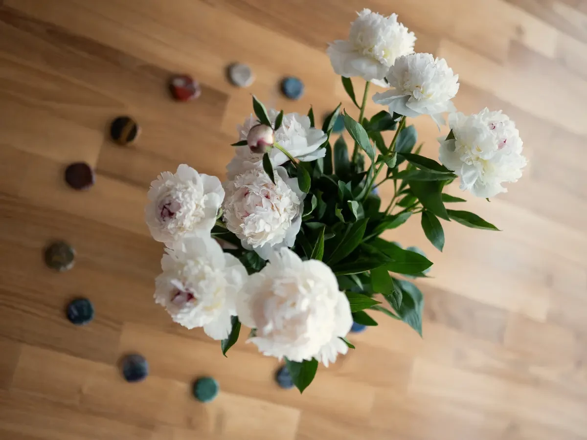 Blumen Energetisches Heilen Rapperswil-Jona.webp