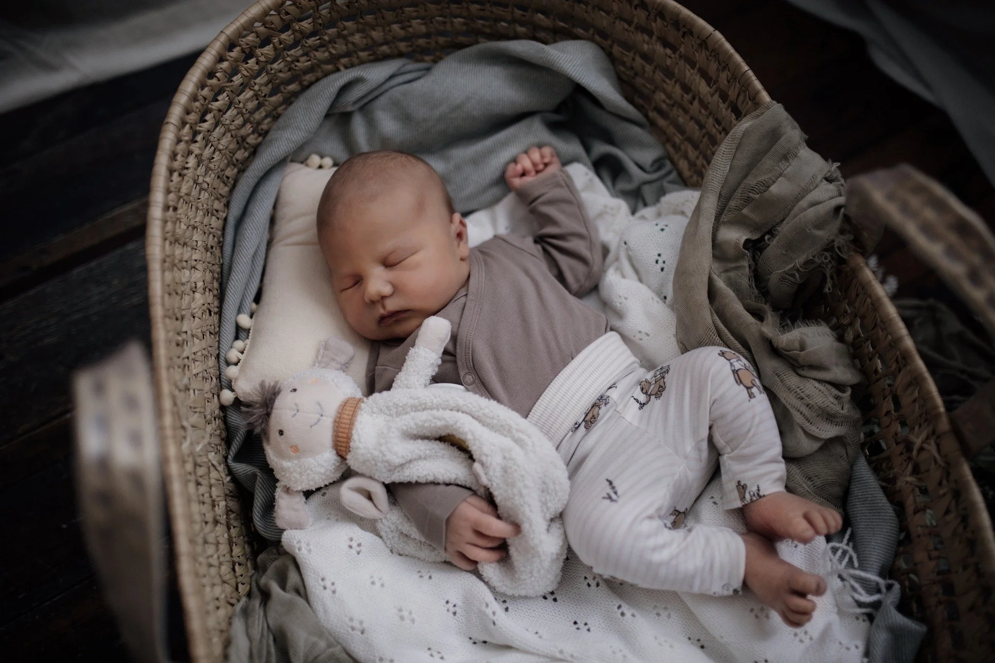 // Newbornfotografie //

#Fotografin #Babyfotografie #Neugeborenenfotografie #ErinnerungenF&uuml;rDieEwigkeit #Familienliebe #KleineWunder #Fotografie #BabyMomente #oberlausitz