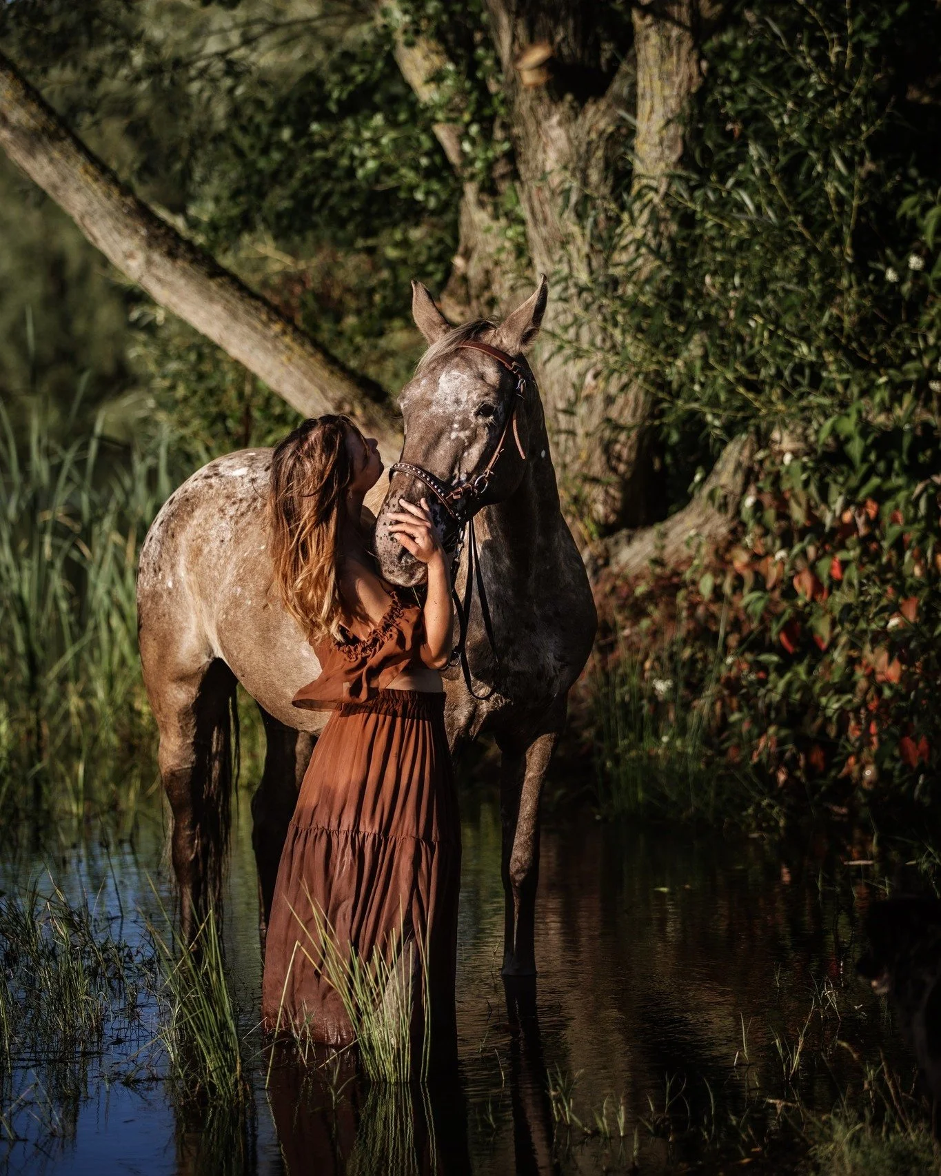 // Pferdeshooting //

#UnvergesslicheMomente #Fotoshooting #oberlausitz #sachsen #Fotografin #pferd #Pferdeliebe #Sonnenschein #Zauberlicht #Pferdefotografie