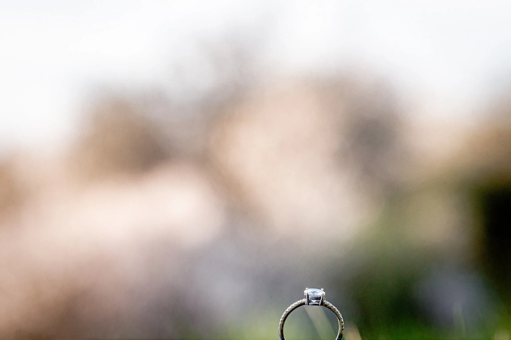 // Detailverliebt //

#Hochzeitsfotografie #Sonnenuntergang #UnvergesslicheMomente #LiebeFeiern #Traumhochzeit #Fotoshooting #oberlausitz #sachsen #zittauerGebirge #Fotografin