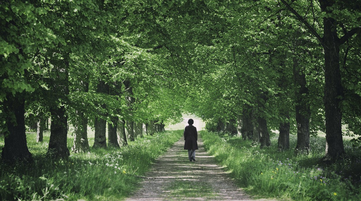 Watercolor of a tree with twisting branches, colorful leaves, and a green landscape.