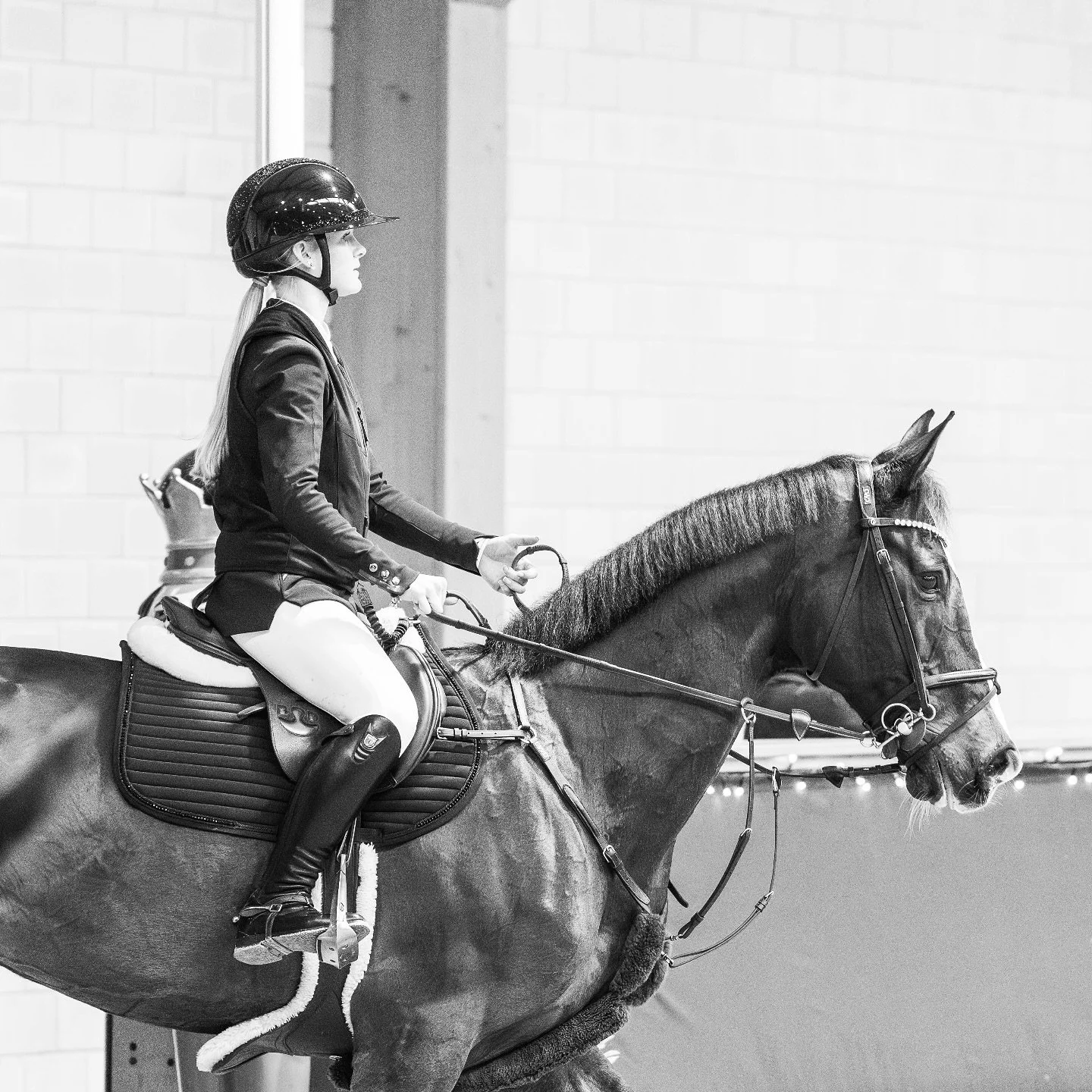 2025 bookings are now open! 

Jan, Feb bookings for private shoots are now open! For event bookings, DM to find out more 🦄