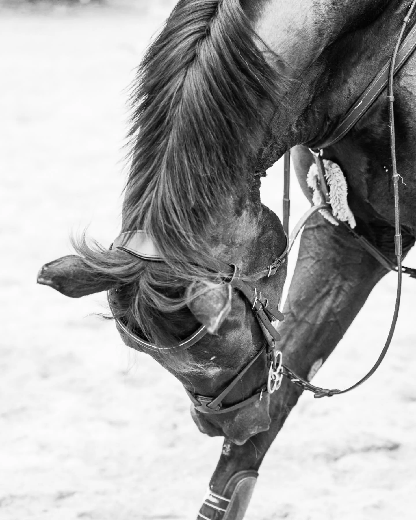 Those post ride scratches 👌💆🏽&zwj;♀️