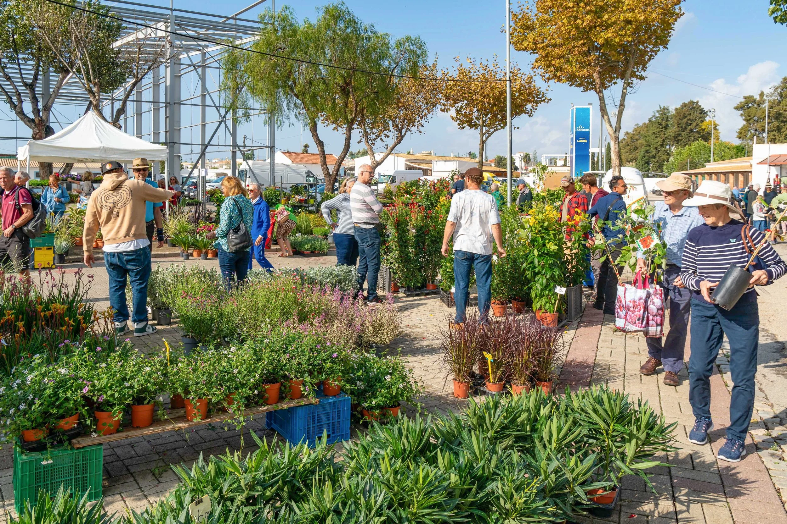 Mediterranean Garden Fair Autumn 2025