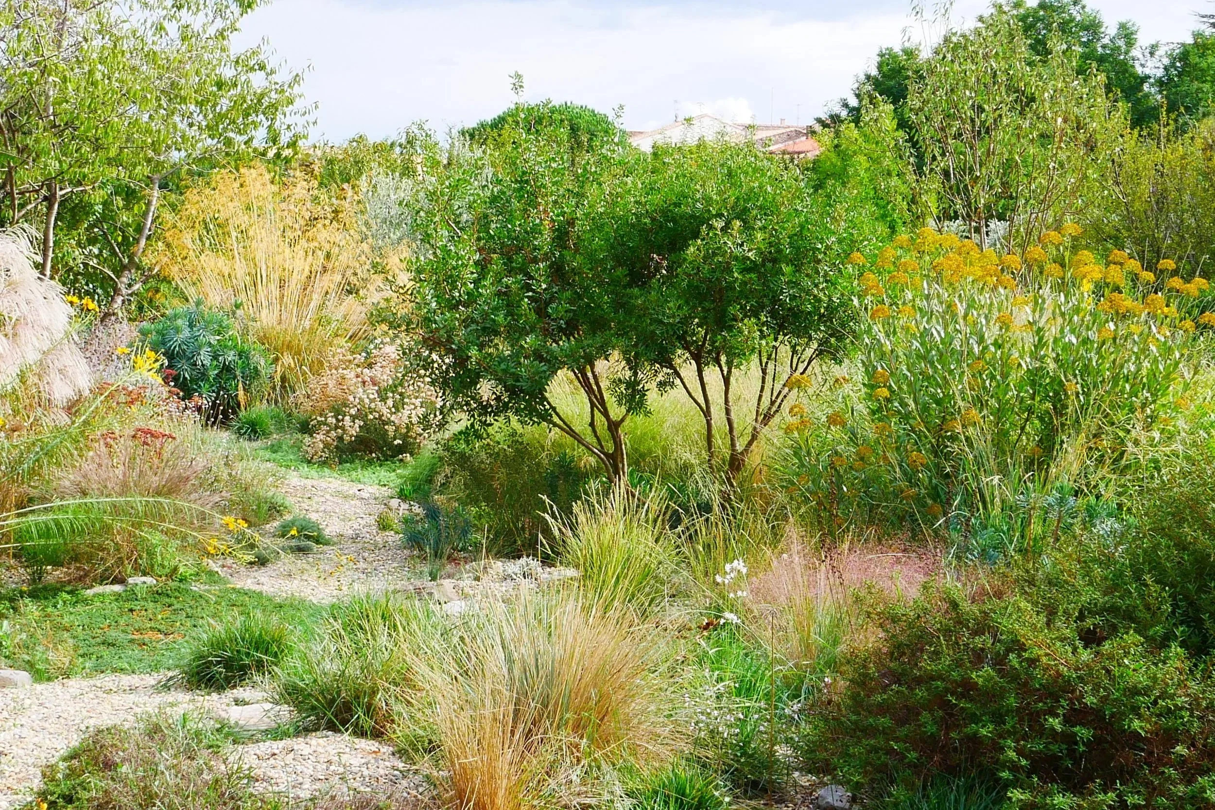 le jardin champ 1.jpeg