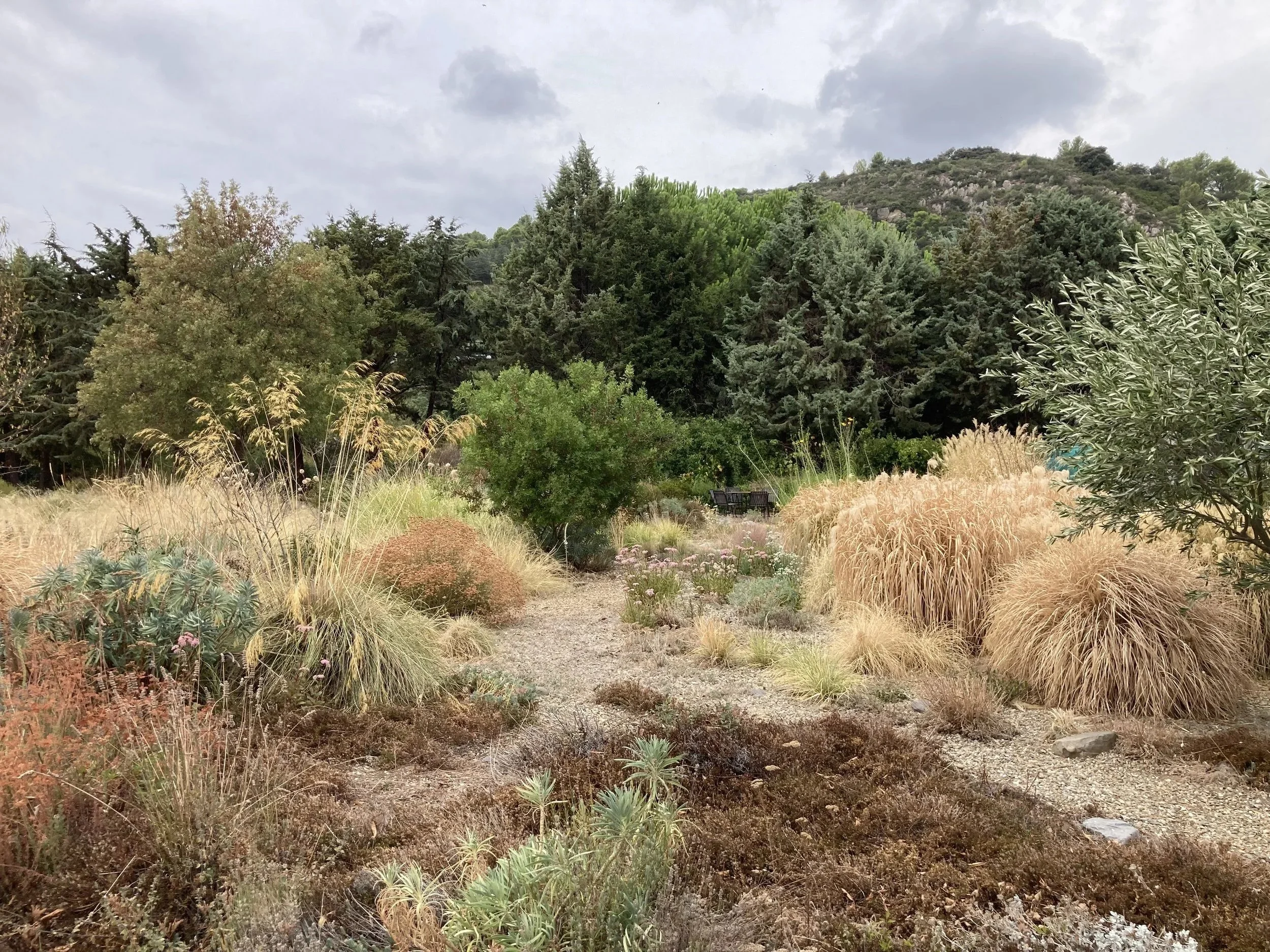 le jardin champ 2.jpeg