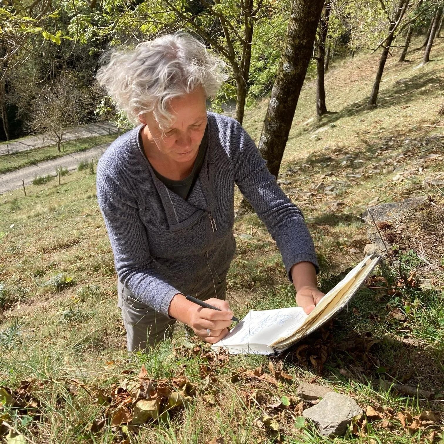 le jardin Imogen.jpeg