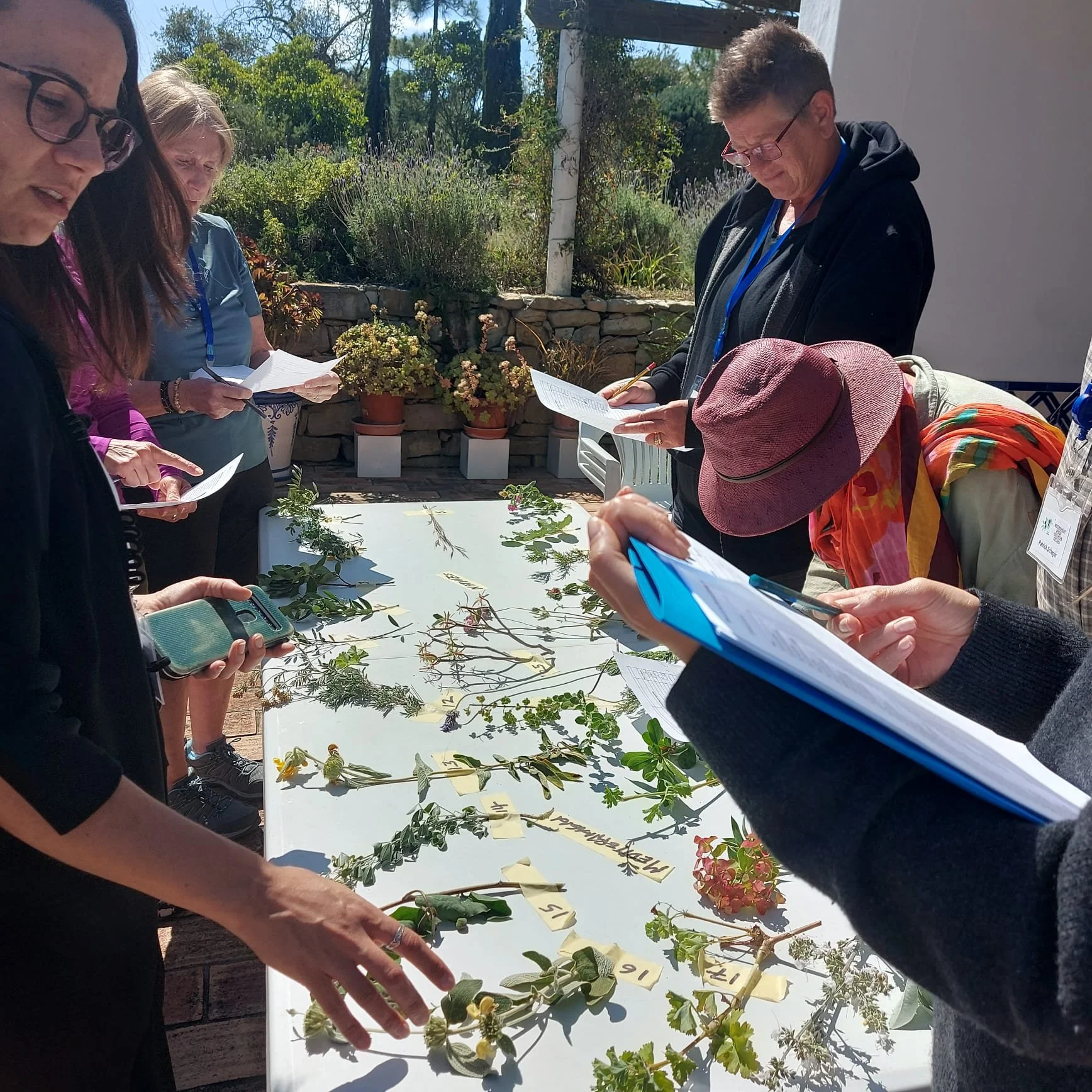 Plant quiz training day .jpeg