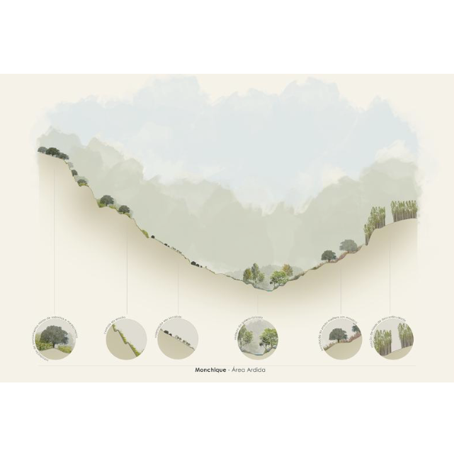 6_Area ardida Monchique-2.png