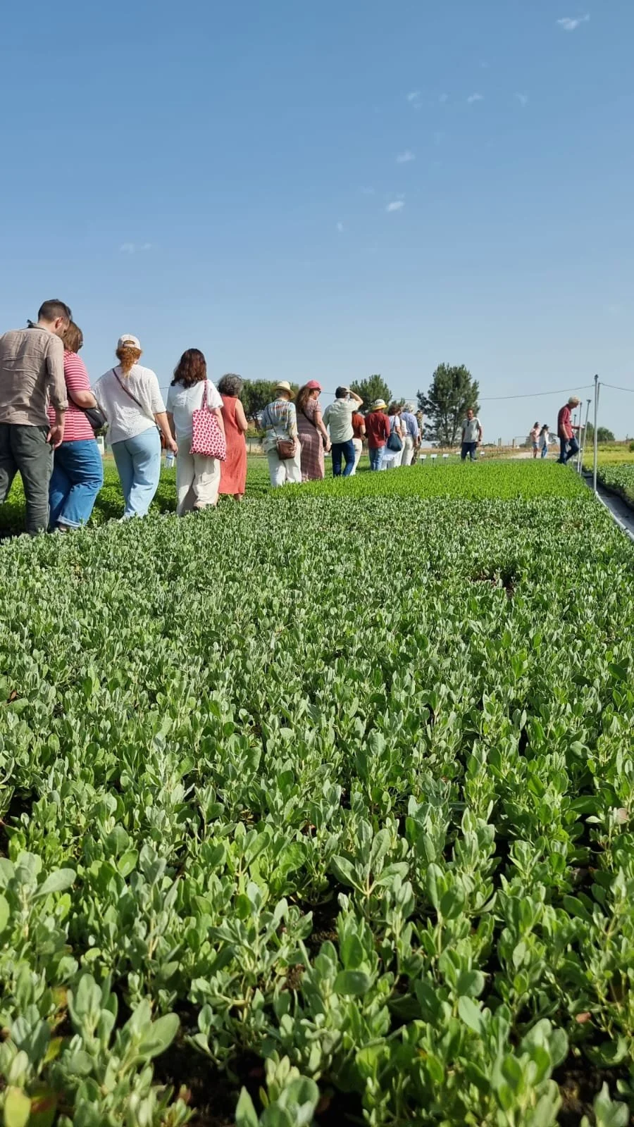 WhatsApp Image 2025-06-03 at 08.32.56.jpeg