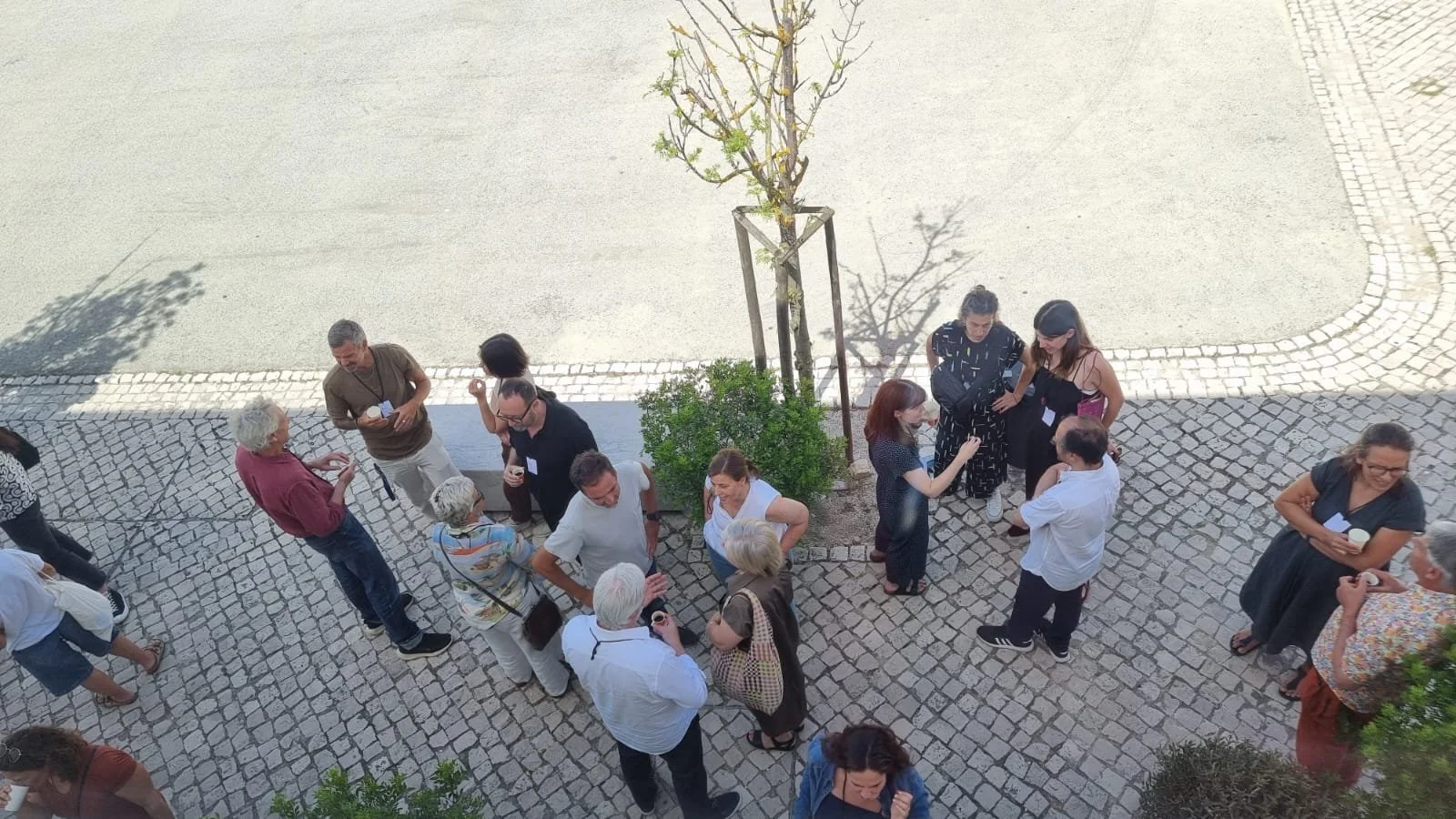 WhatsApp Image 2025-06-03 at 08.32.59 (4).jpeg