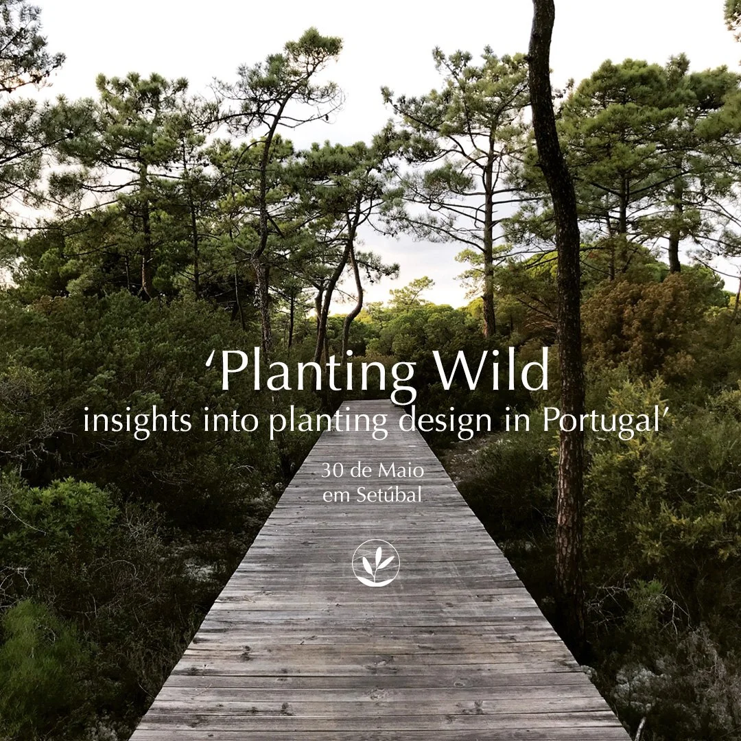 Planting Wild