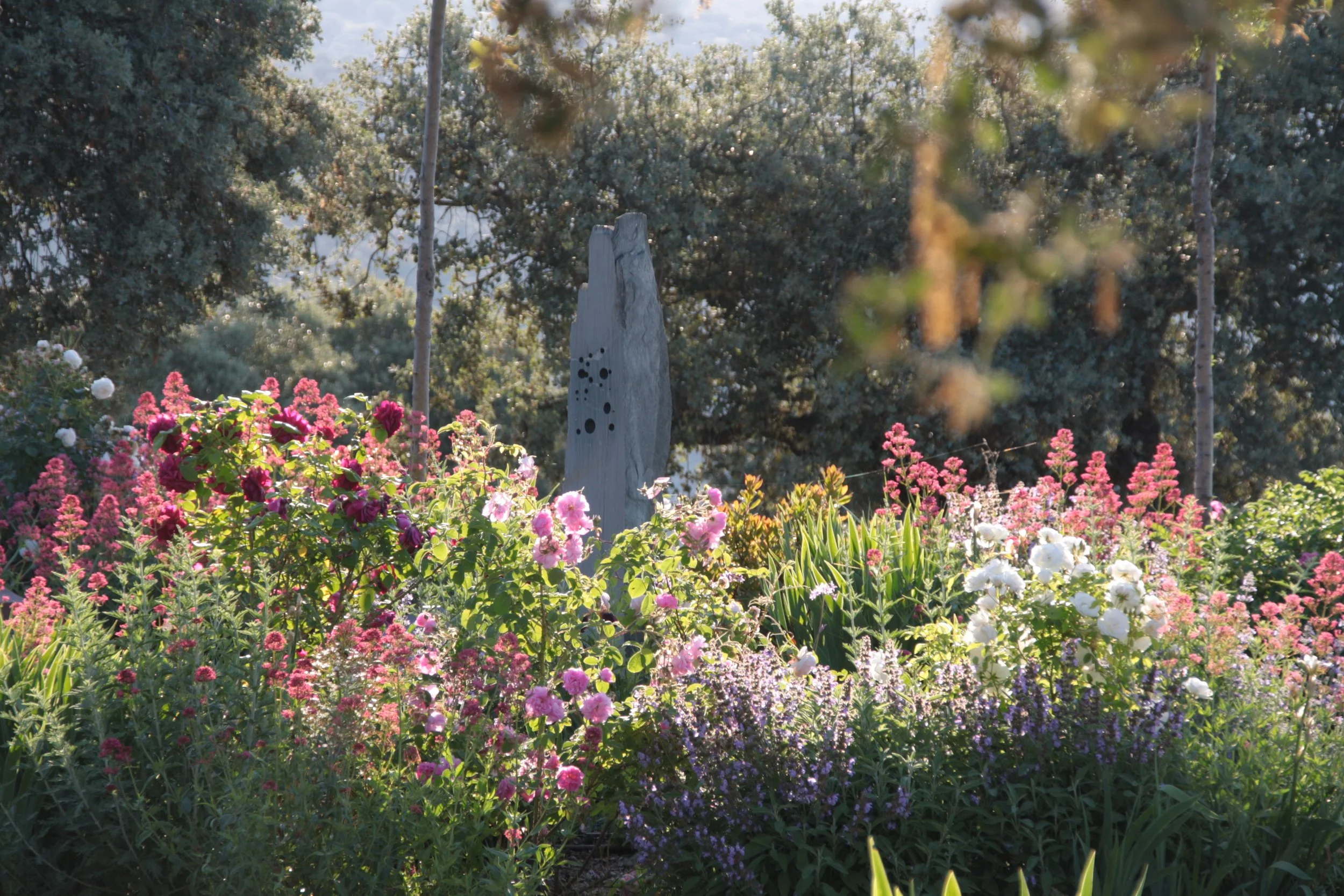 Webinário c/ Jesús Moraime