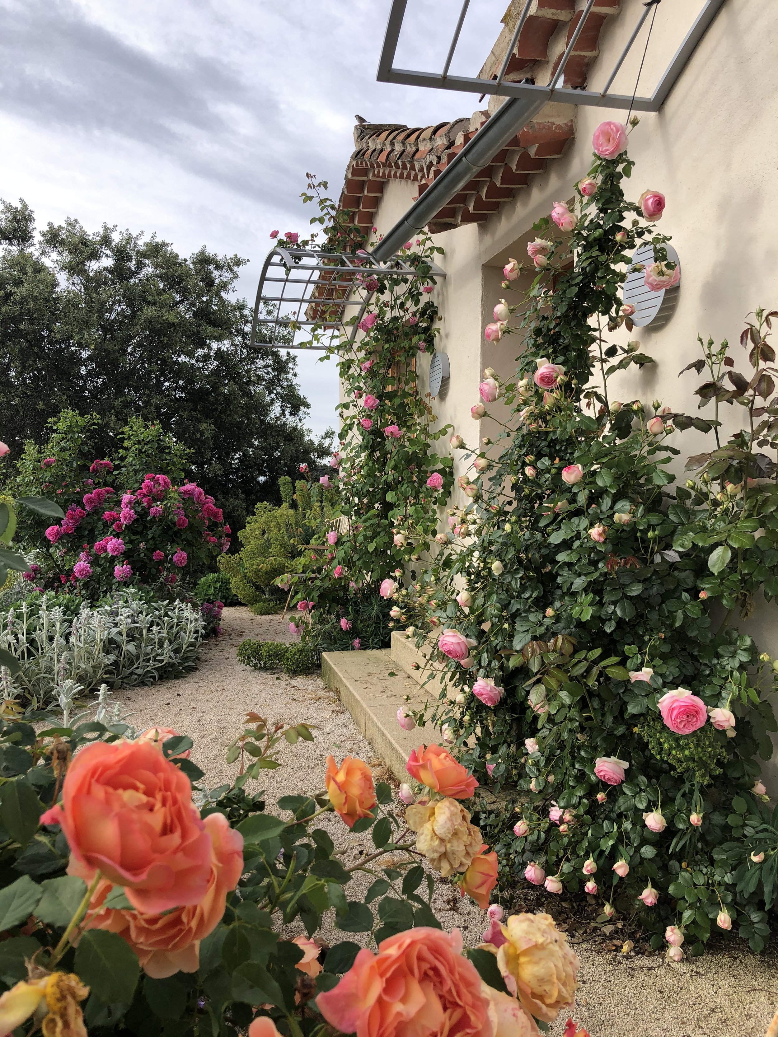 Las Encinas del Naval 2.jpg