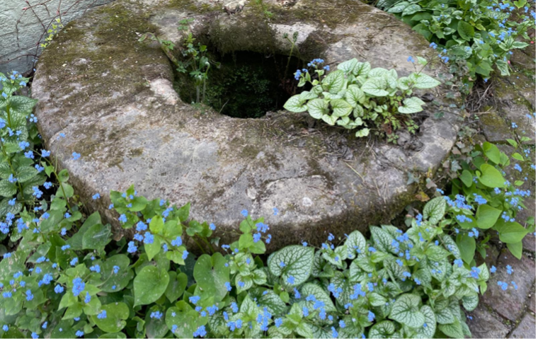Courtyard garden, Holland Park