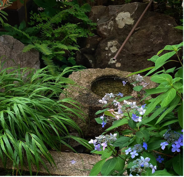 Zen garden, Primrose Hill