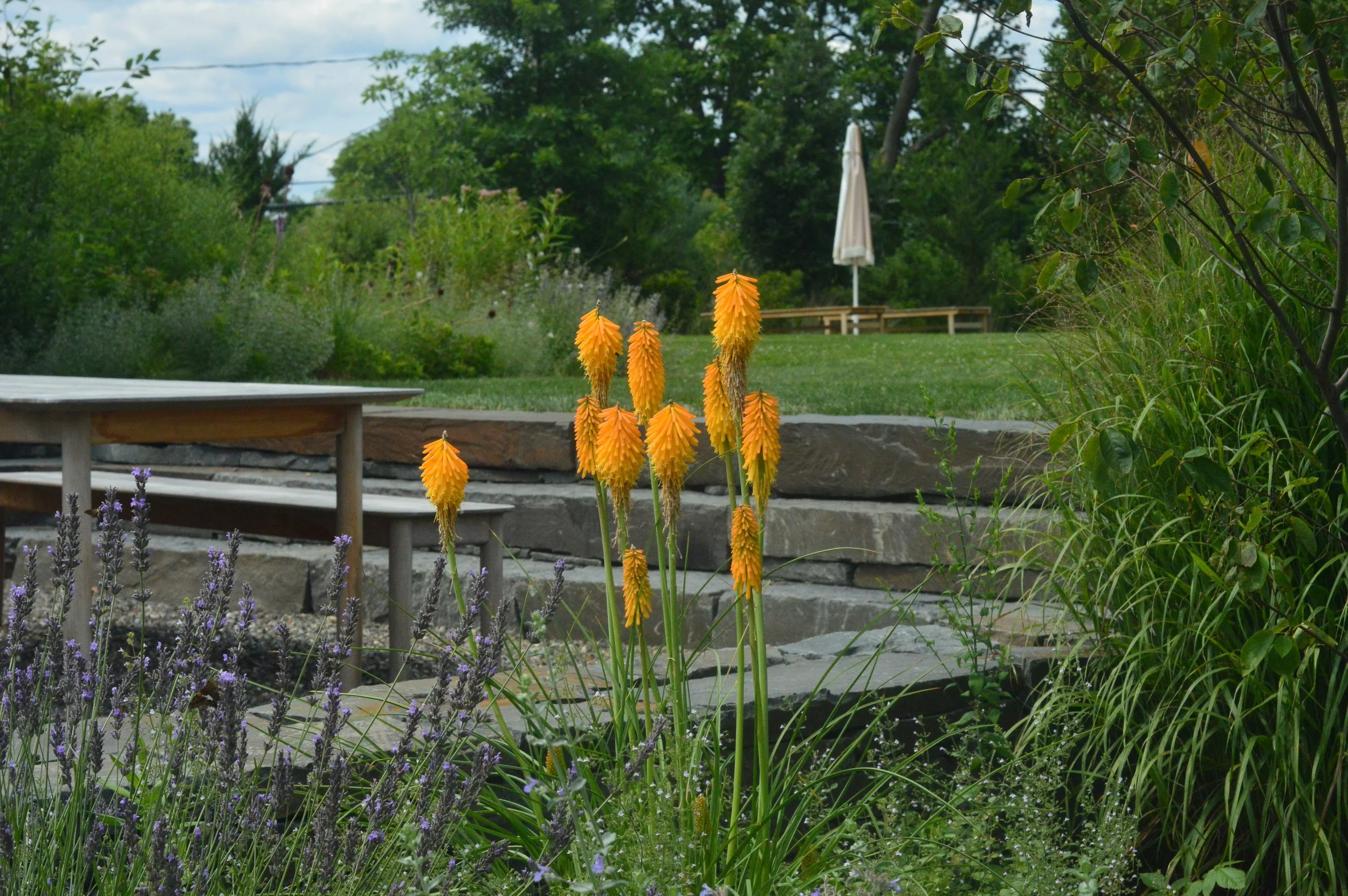 DSC_0720.JPG