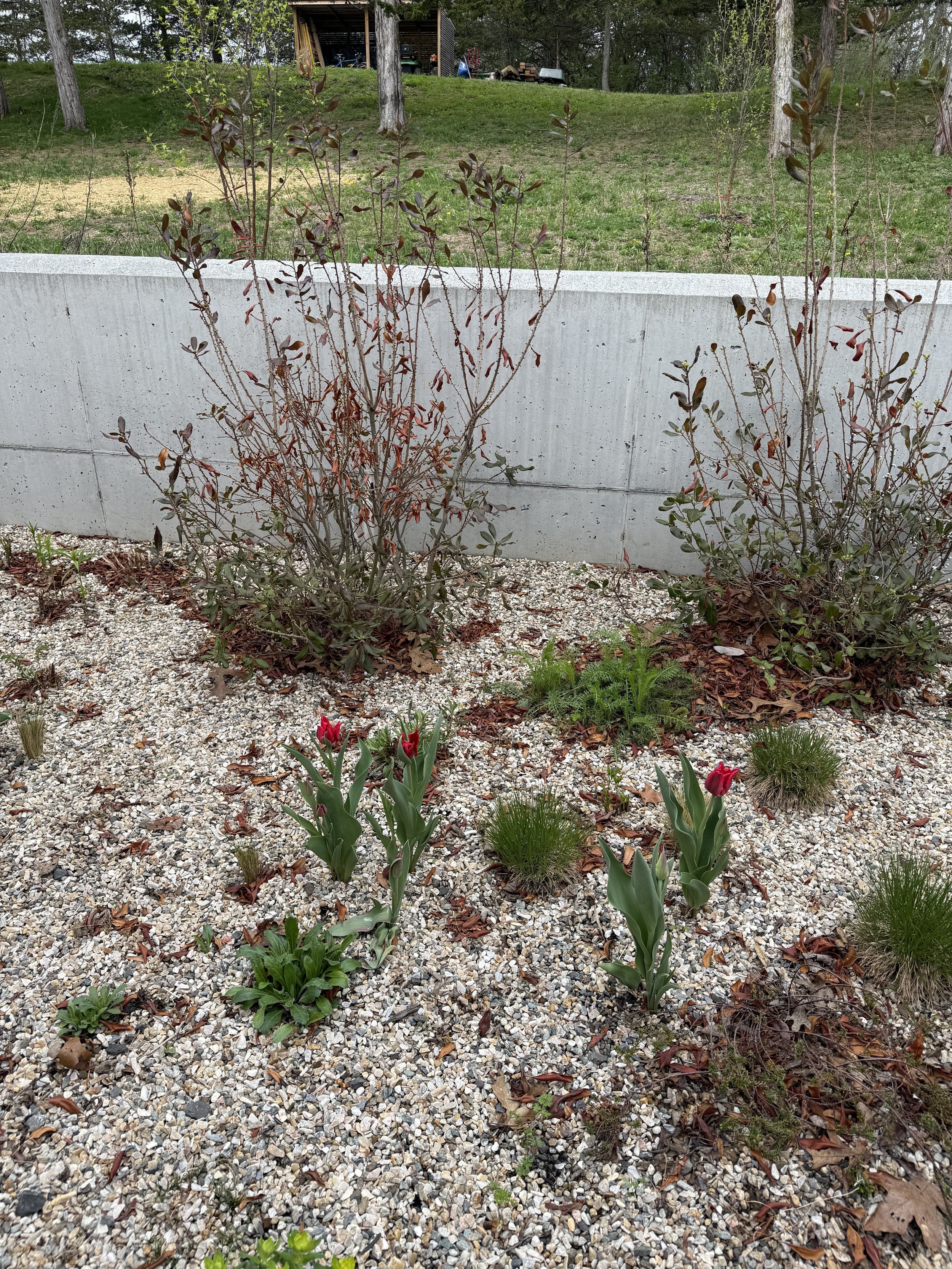 IMG_0807.jpeg