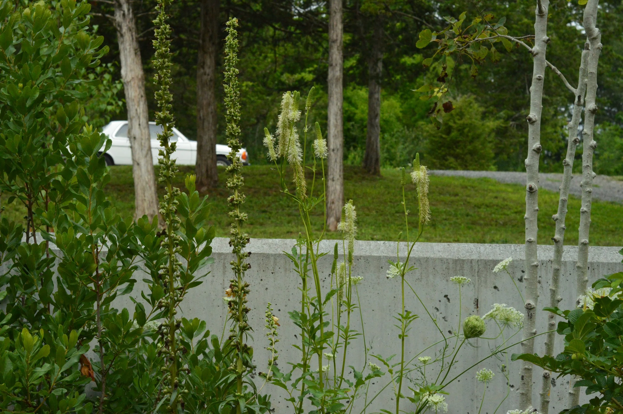 DSC_0754.JPG