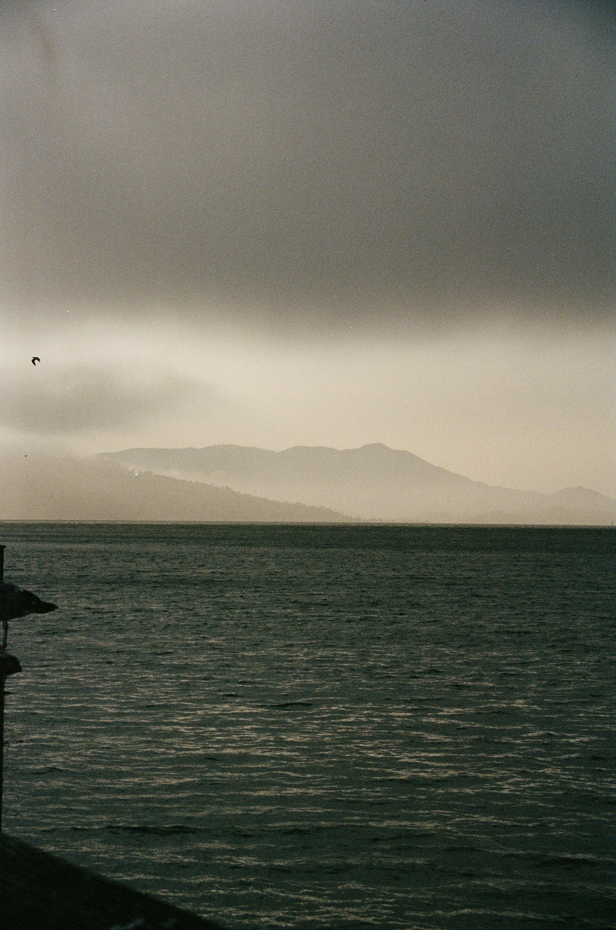 000042520035.jpg