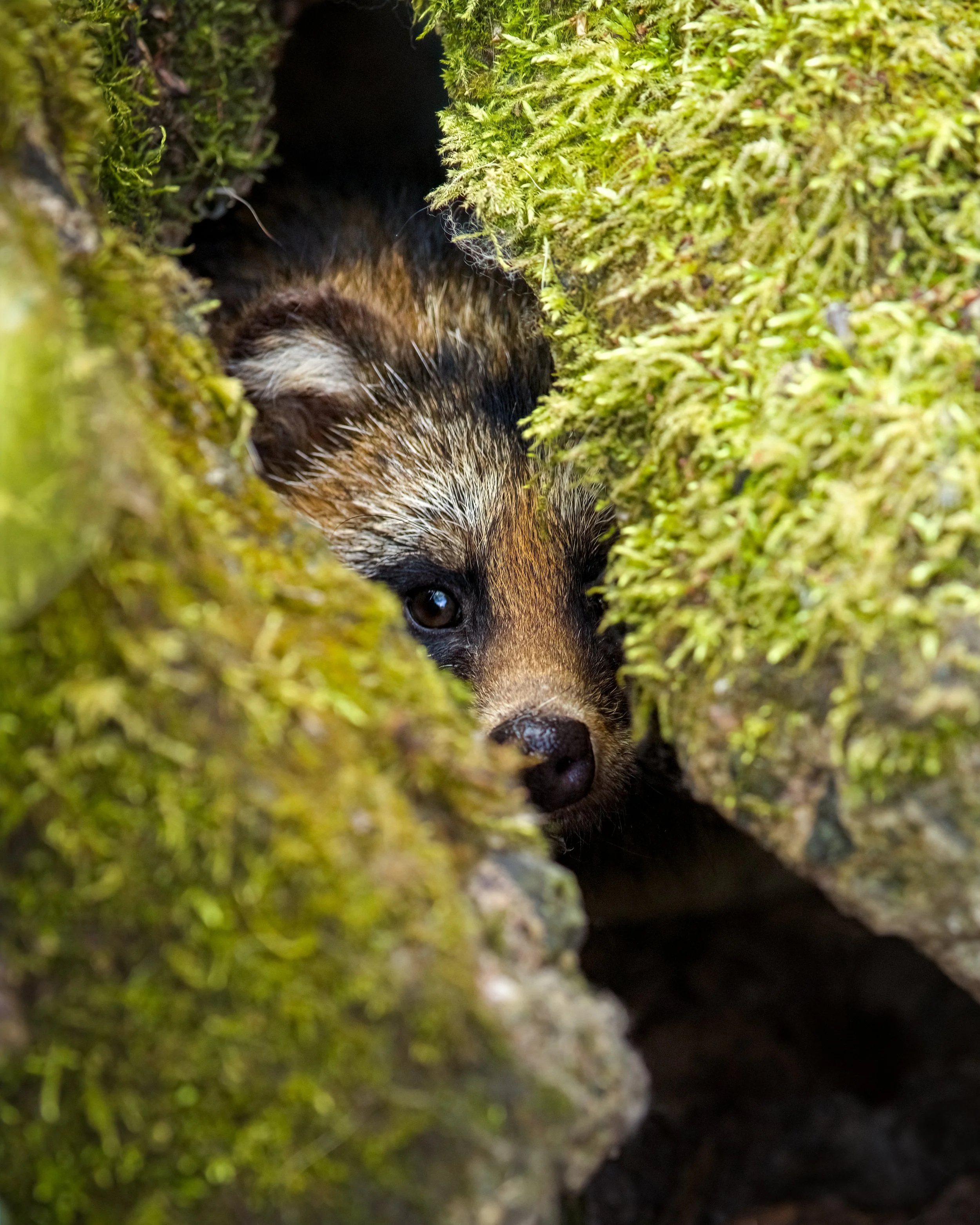 _23A6354 2-DeNoiseAI-clear.jpeg