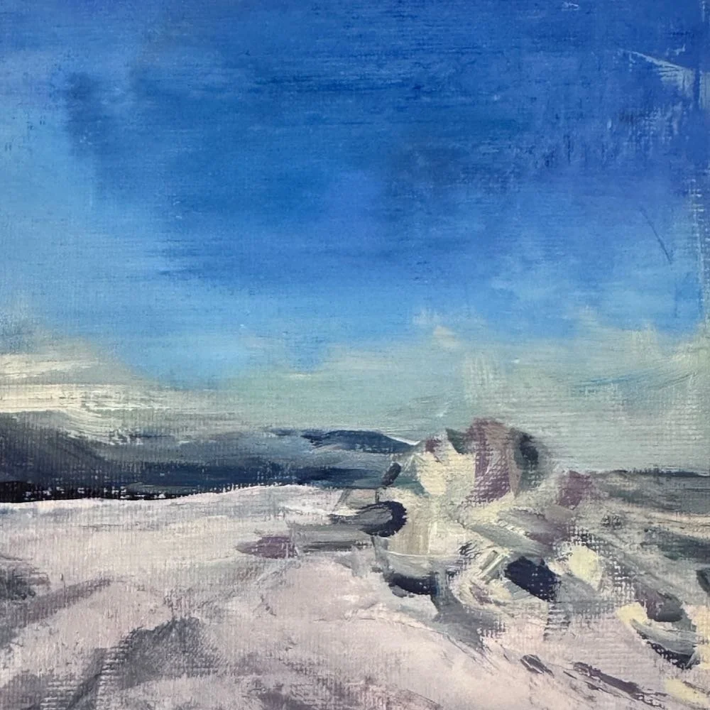 Mona Gowan, winter glow. Oil on board 2026.jpeg