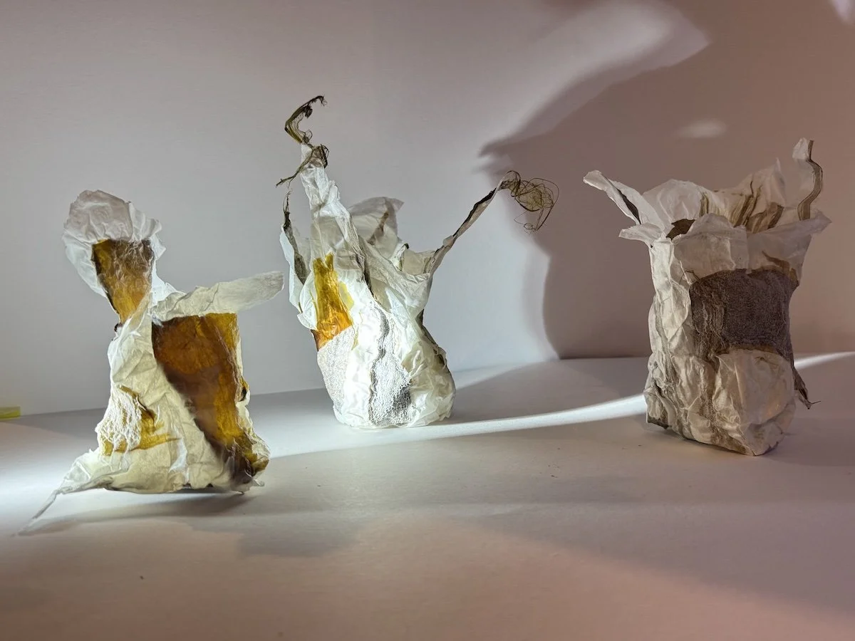 Sea Pods. Laminated paper and organic materials