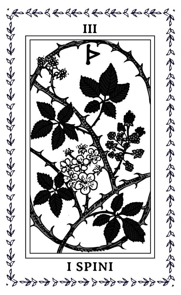 tarocco 2021-04.png