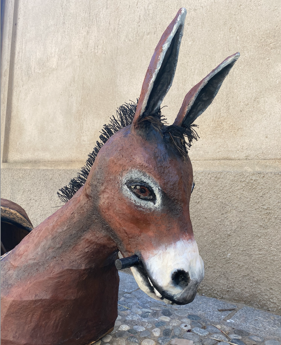 L’asino e il cammello