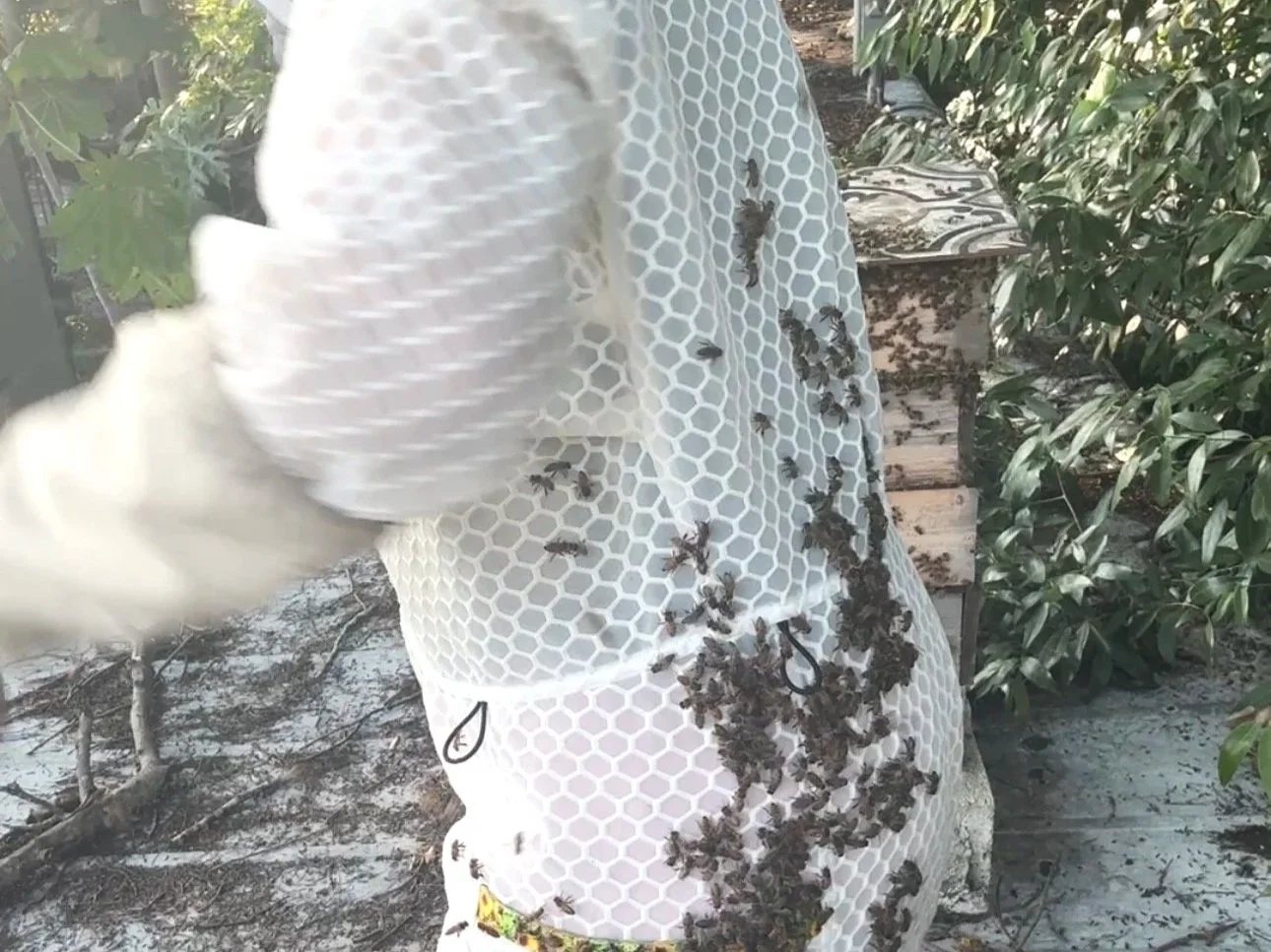 Women Beekeepers Deserve Suits Designed for Their Bodies