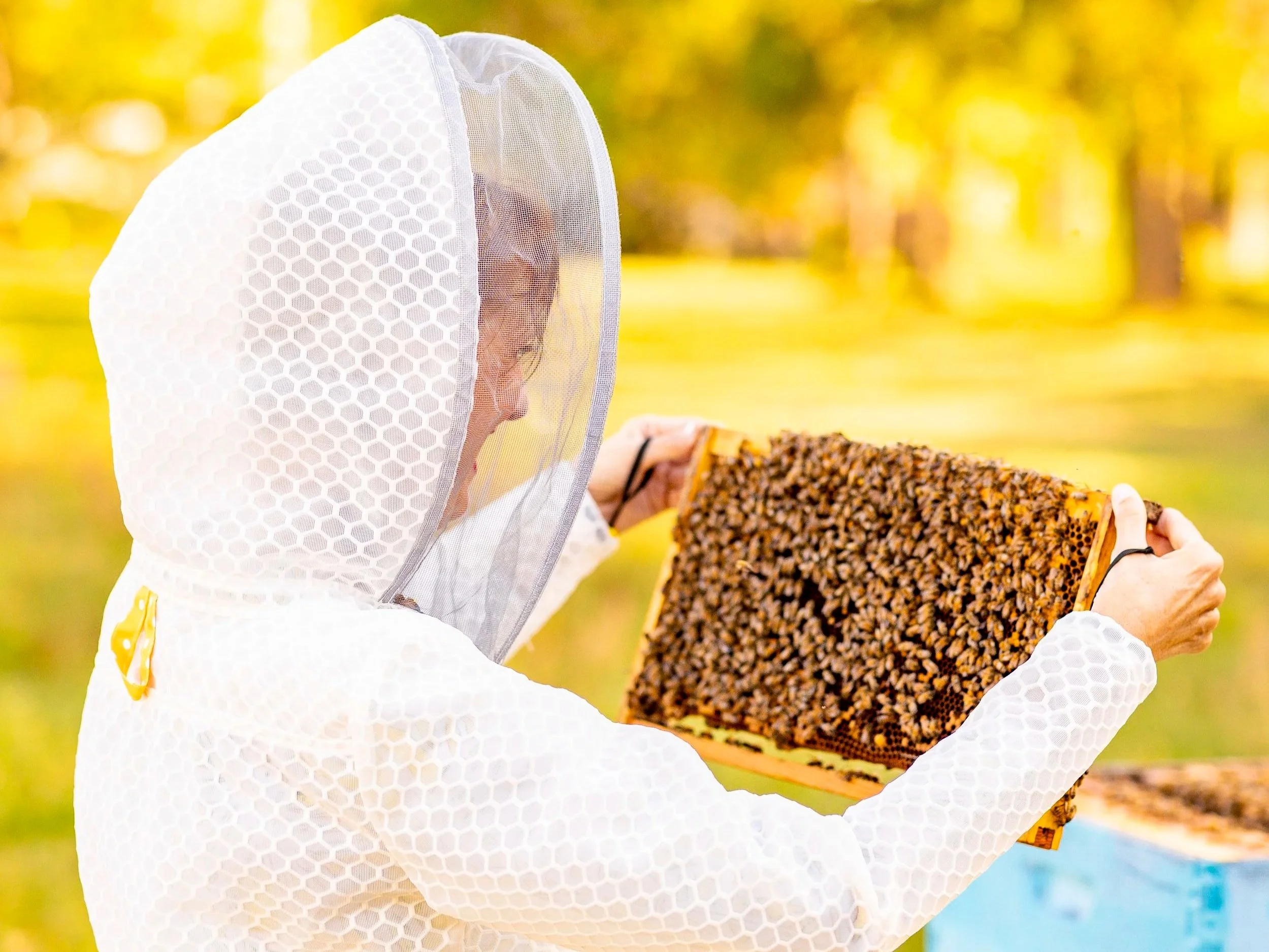 The Details That Change Everything for Women Beekeepers