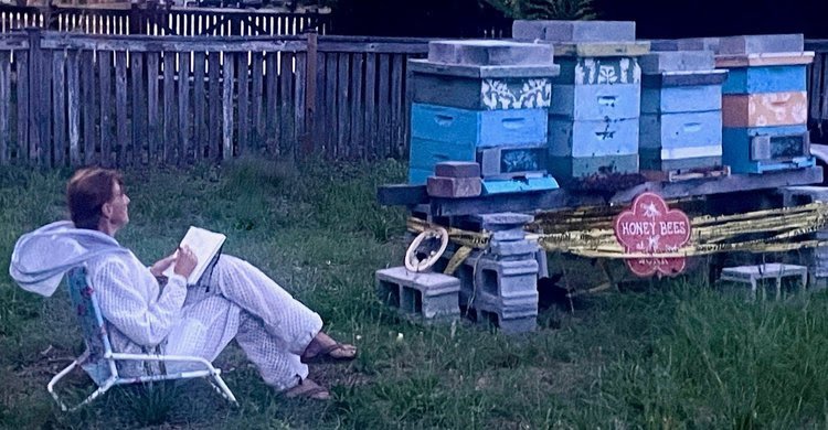 Evenings in the Apiary: Why Jenna Never Stops Watching the Bees