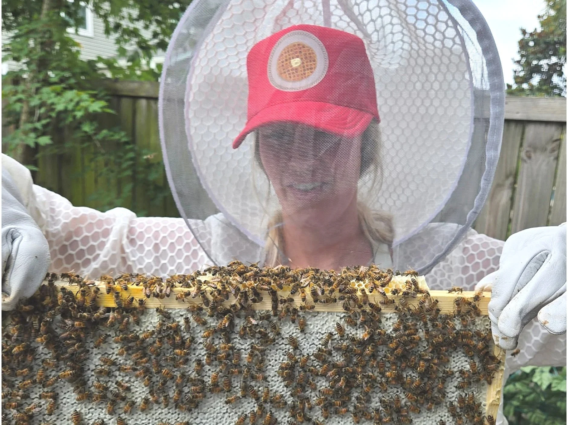 Female Beekeeper Spotlight: Meet Kailee Habat