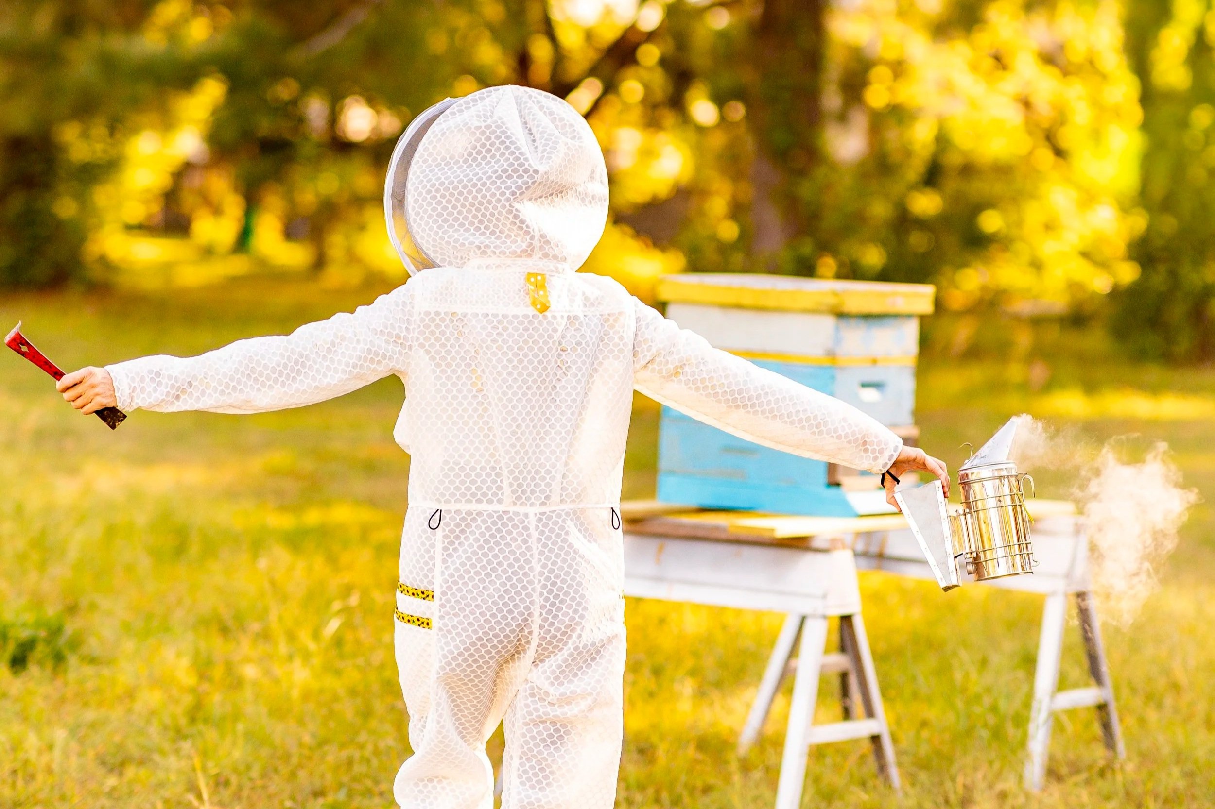 How to Choose a Beekeeping Suit for Women: 7 Things to Look For