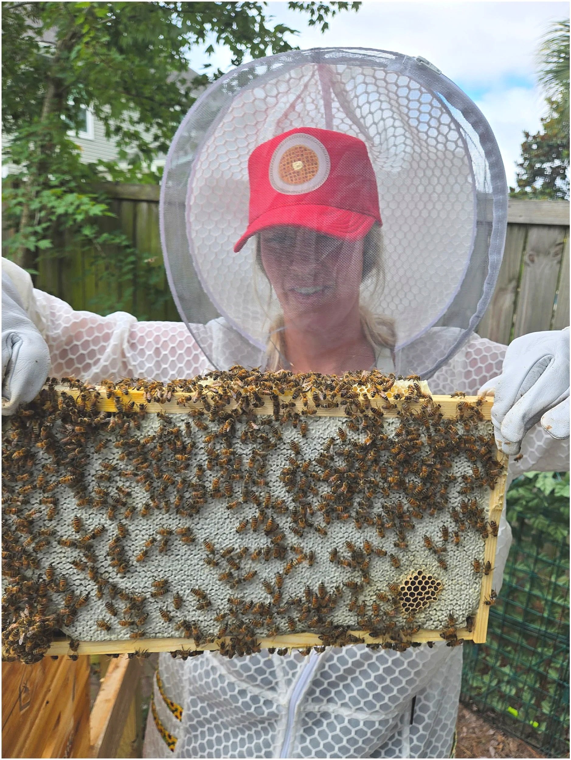 Kailee Habat holding a frame of honey bees during her first season of beekeeping in Charleston, SC.