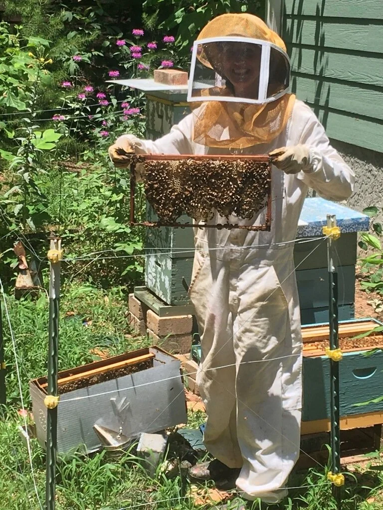 Beekeeper in protective gear holding a honeycomb frame